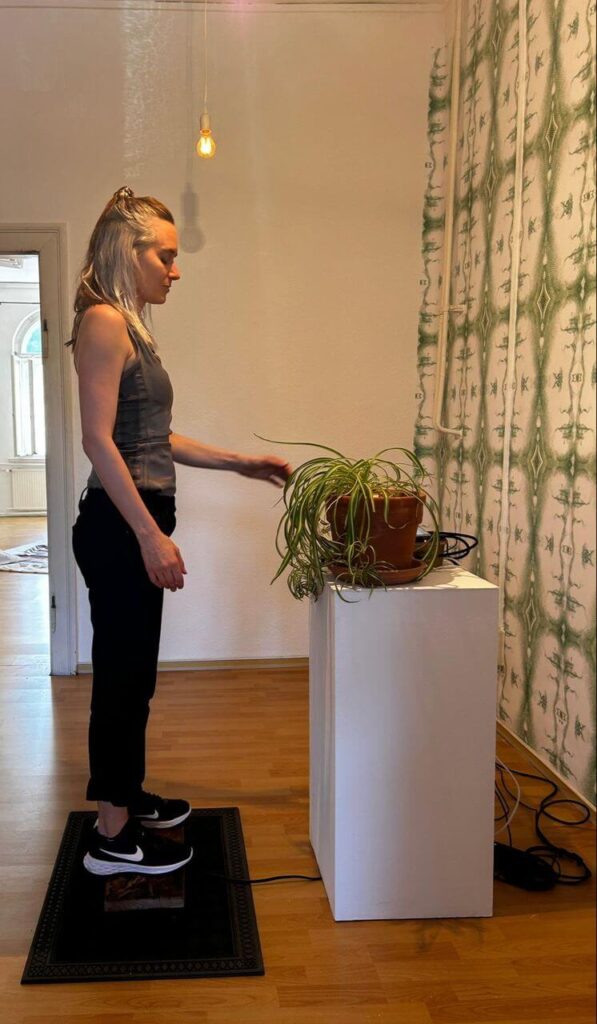 Photo de l'installation de Laurent Lettré : interactivité vibratoire d'une plante