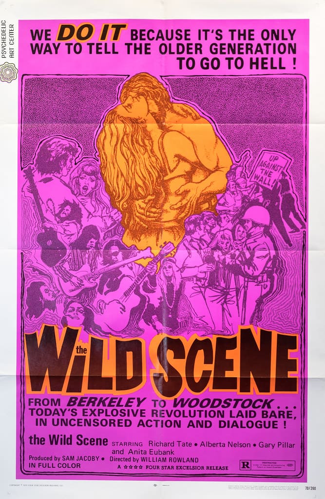 The wild scene, We do it because it's the only way to telle th eolder generation to go to hell ! Etats-Unis, Affiche de film, 104x68, 1968 (Collection Elalouf)