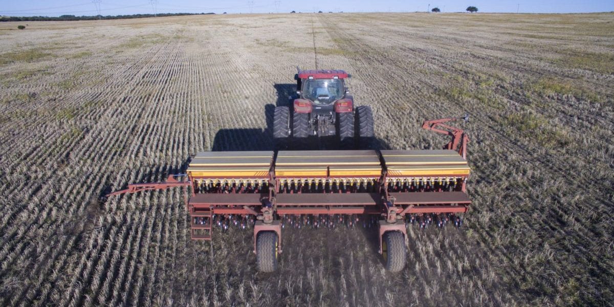 agriculture-intensive-argentine-cfoto4440-stock.adobe-.com--1200x899-min