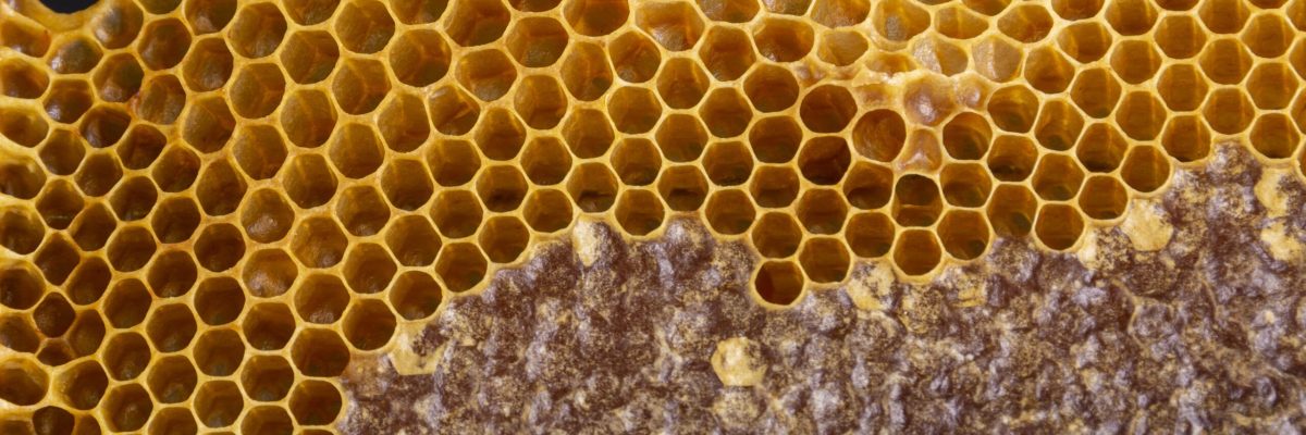 texture-en-nid-d-abeille-jaune-_1_-min